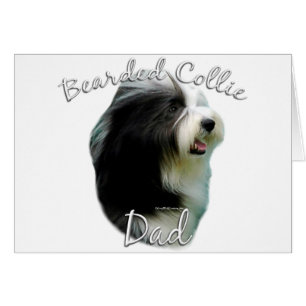 Bearded Collie Dad 2