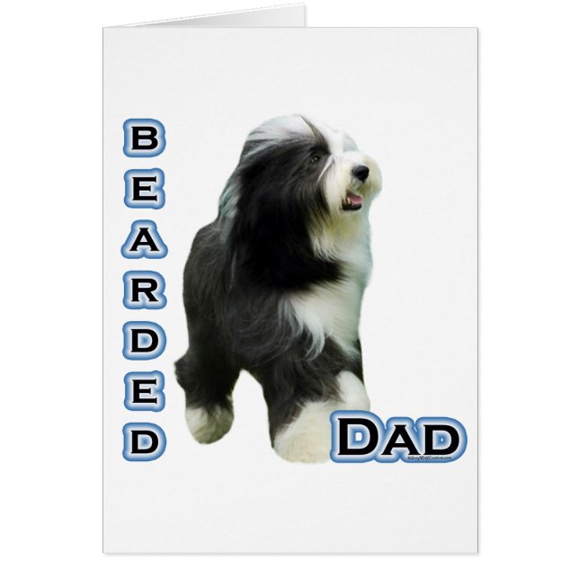 Bearded Collie Dad 4 (Front)