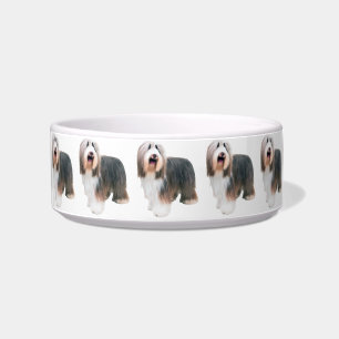 Bearded Collie Dog Bowl