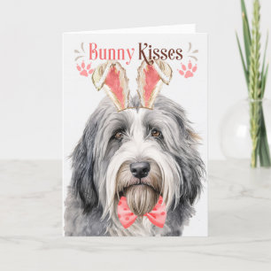 Bearded Collie Dog in Bunny Ears for Easter Holiday Card