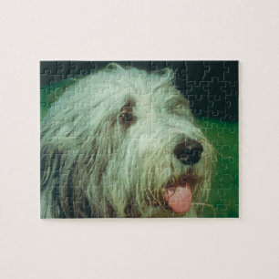 Bearded Collie Dog Puzzle