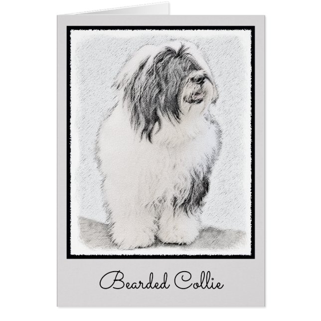 Bearded Collie Drawing - Cute Original Dog Art (Front)