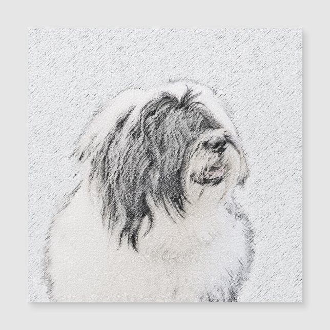Bearded Collie Drawing - Cute Original Dog Art (Front)