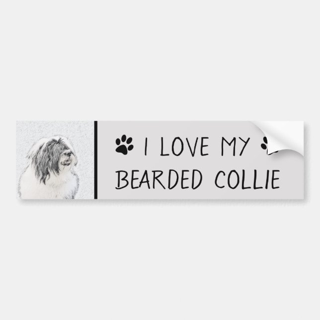 Bearded Collie Drawing - Cute Original Dog Art Bumper Sticker (Front)