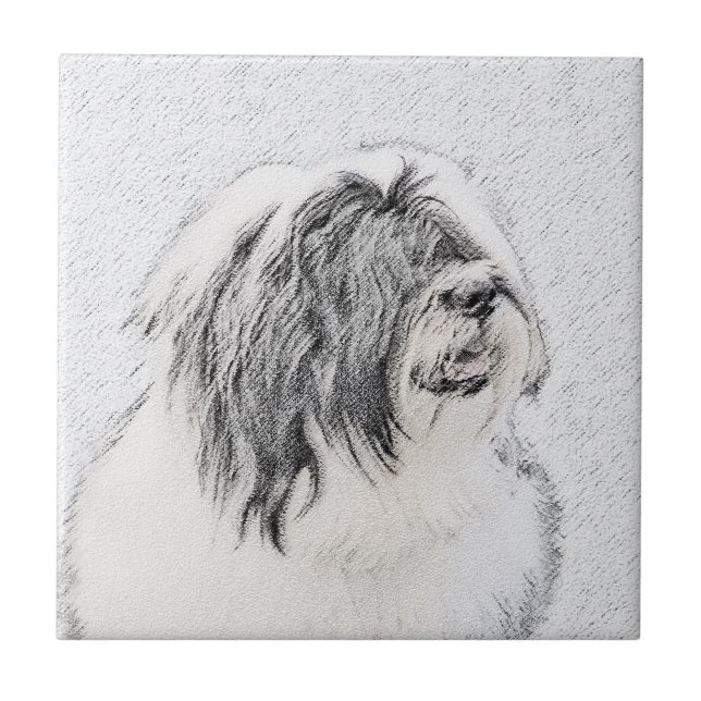 Bearded Collie Drawing - Cute Original Dog Art Tile (Front)
