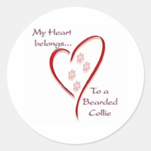 Bearded Collie Heart Belongs Classic Round Sticker