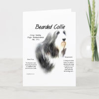 Bearded Collie History; Love Bearded Collies