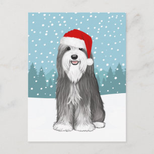 Bearded Collie Holiday Cute Dog Christmas Custom Postcard