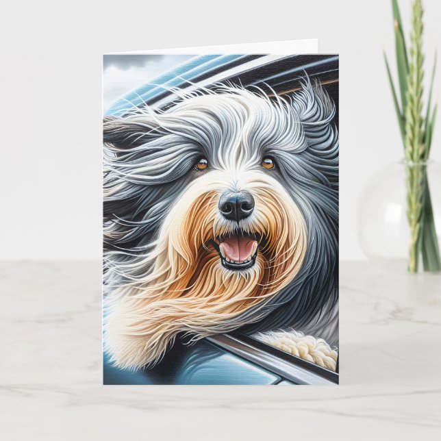 Bearded Collie In Car Window Card (Front)