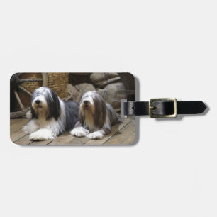 Bearded Collie Luggage Tag