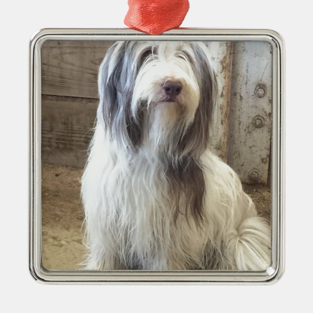 Bearded Collie Metal Ornament (Front)