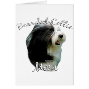 Bearded Collie Mom 2