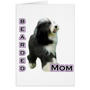 Bearded Collie Mom 4