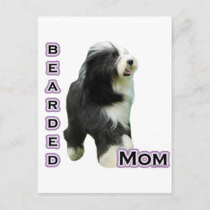 Bearded Collie Mom 4 Postcard