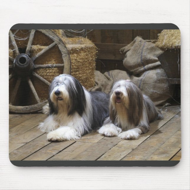 Bearded Collie Mouse Pad (Front)