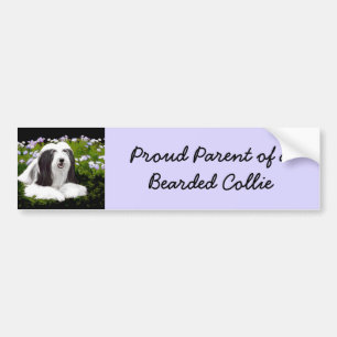 Bearded Collie Painting - Cute Original Dog Art Bumper Sticker