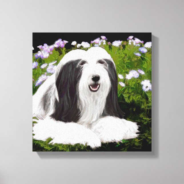 Bearded Collie Painting - Cute Original Dog Art Canvas Print (Front)