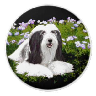 Bearded Collie Painting - Cute Original Dog Art Ceramic Knob