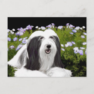 Bearded Collie Painting - Cute Original Dog Art Postcard