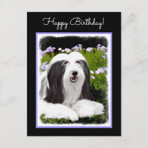 Bearded Collie Painting - Cute Original Dog Art Postcard