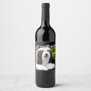 Bearded Collie Painting - Cute Original Dog Art Wine Label