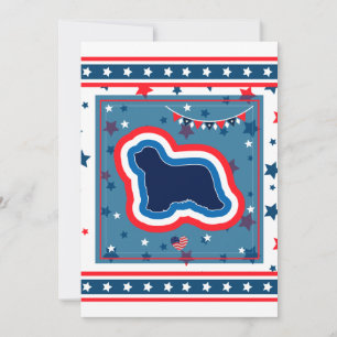 Bearded Collie Patriotic Red White Blue 4th July Holiday Card