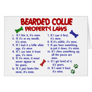 BEARDED COLLIE Property Laws 2