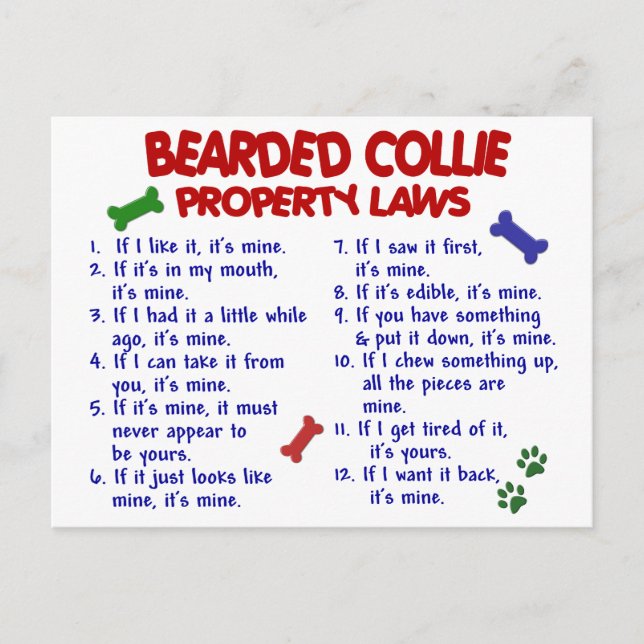 BEARDED COLLIE Property Laws 2 Postcard (Front)
