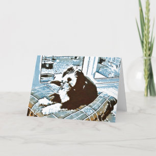 Bearded Collie Pup Greeting Card