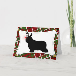 Bearded Collie Reindeer Christmas Card