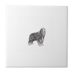 Bearded Collie Tile