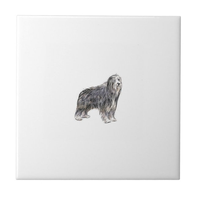 Bearded Collie Tile (Front)