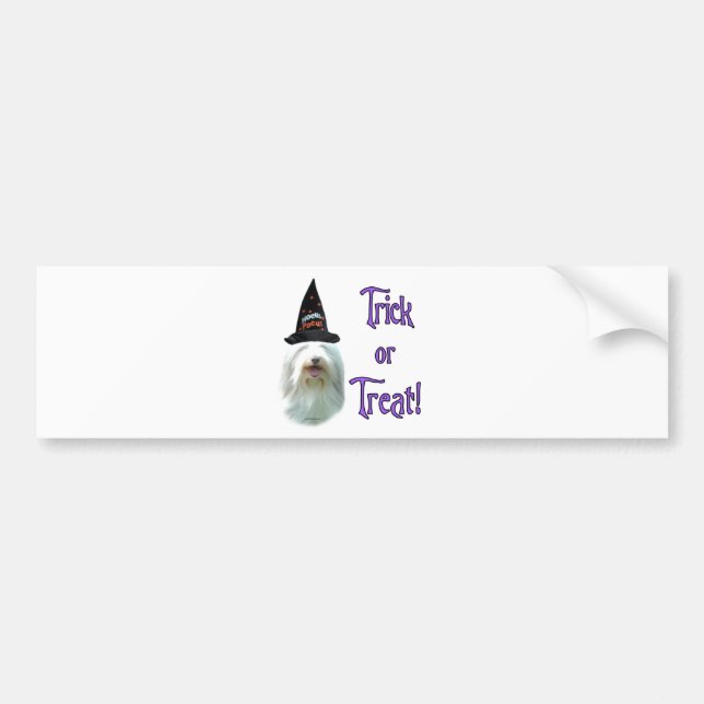 Bearded Collie Trick Bumper Sticker (Front)
