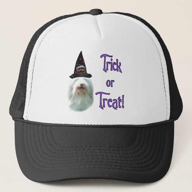 Bearded Collie Trick Trucker Hat (Front)