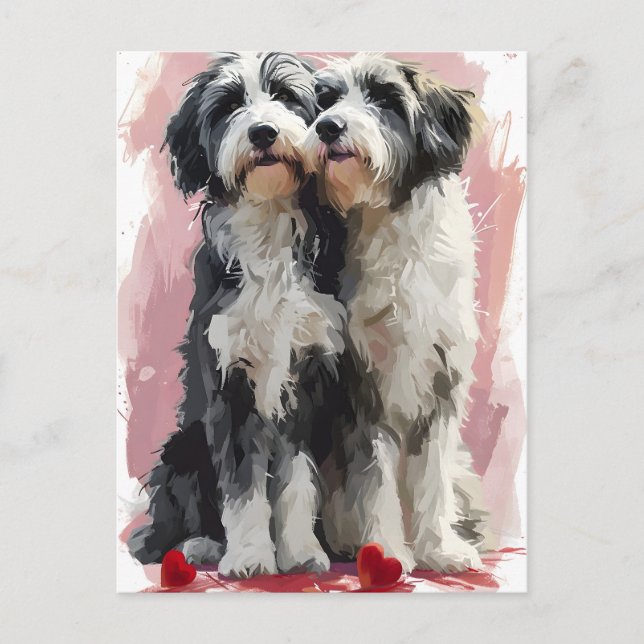 Bearded Collie Valentine's day  Postcard (Front)