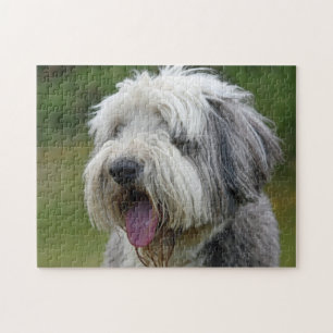 Bearded Collie with tongue out Jigsaw Puzzle