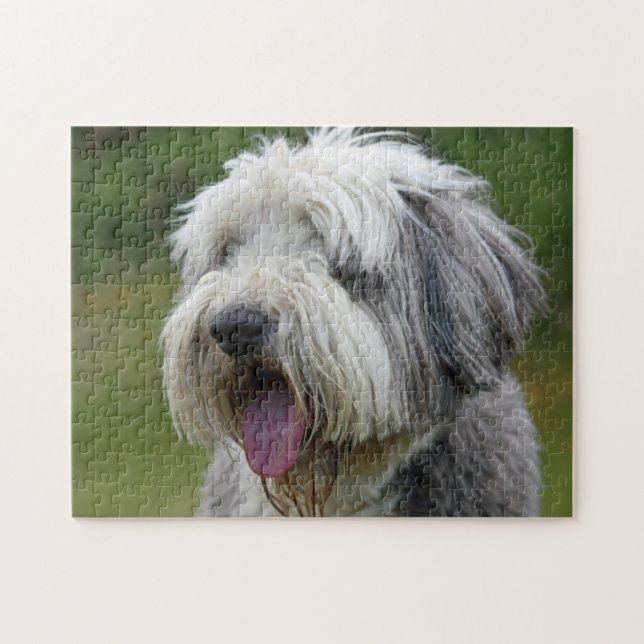 Bearded Collie with tongue out  Jigsaw Puzzle (Horizontal)