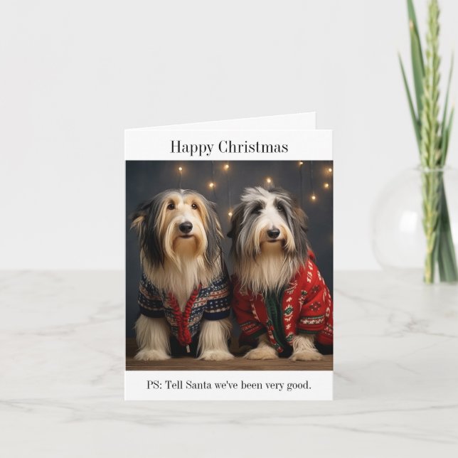 Bearded Collies Happy Christmas Card (Front)