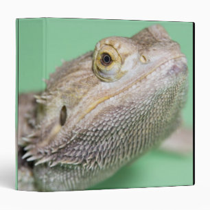 Bearded dragon 2 binder