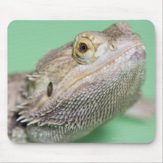 Bearded dragon 2 mouse pad