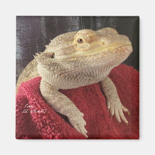 Bearded Dragon Black and Red Square Magnet
