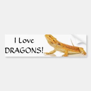 Bearded Dragon Bumper Sticker
