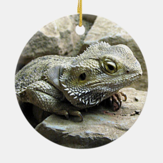 Bearded Dragon Ceramic Ornament (Back)