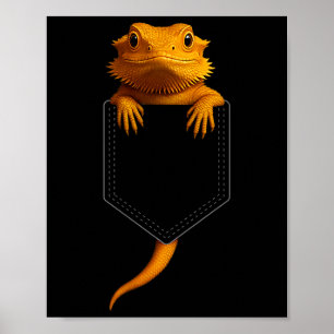 Bearded Dragon Cket Cute Exotic Lizard Reptile Pet Poster