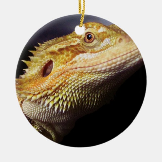 Bearded Dragon Head 2 Ceramic Ornament (Front)