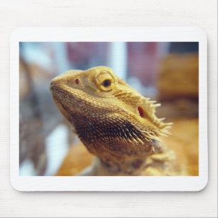 Bearded Dragon Mouse Pad