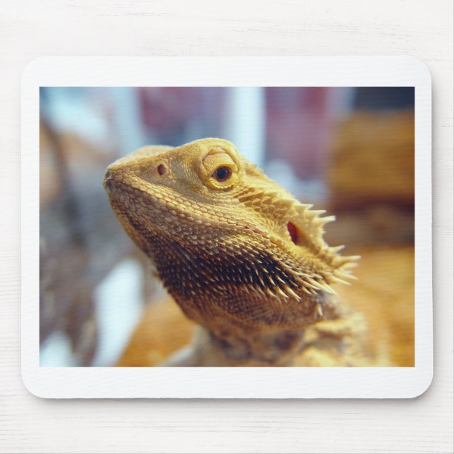 Bearded Dragon Mouse Pad (Front)
