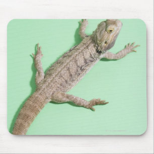 Bearded dragon mouse pad