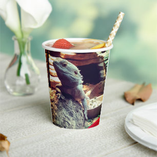 Bearded Dragon Paper Cups