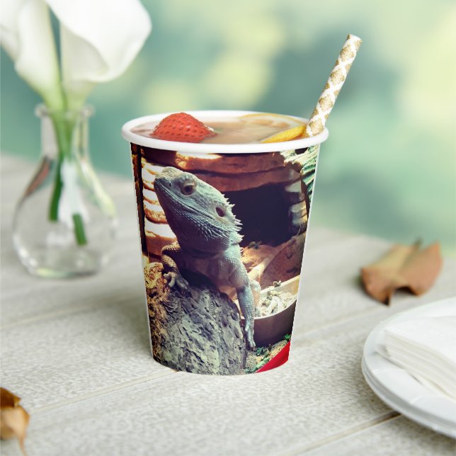 Bearded Dragon Paper Cups (Insitu)